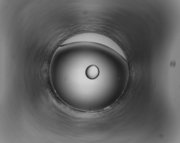 X0000111660036200907171621