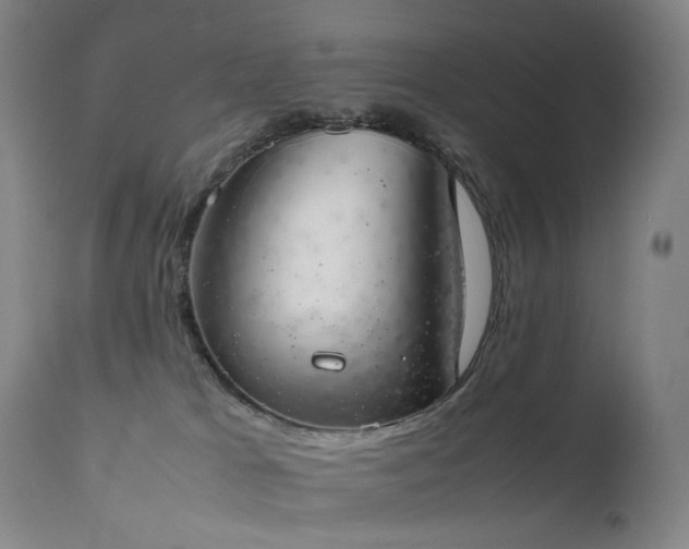 X0000111660037200907171621