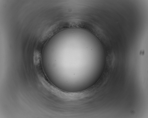 X0000111660038200907171621