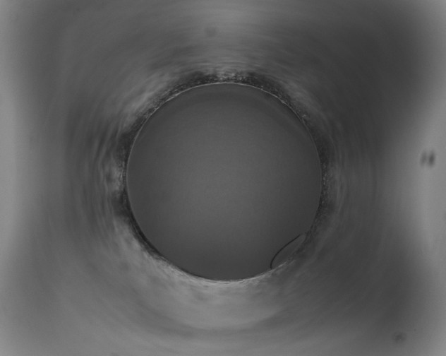 X0000111660039200907171621
