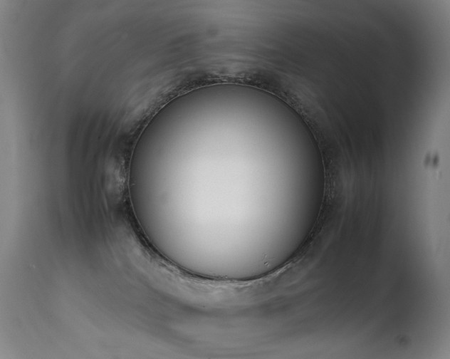 X0000111660040200907171621