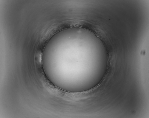 X0000111660041200907171621