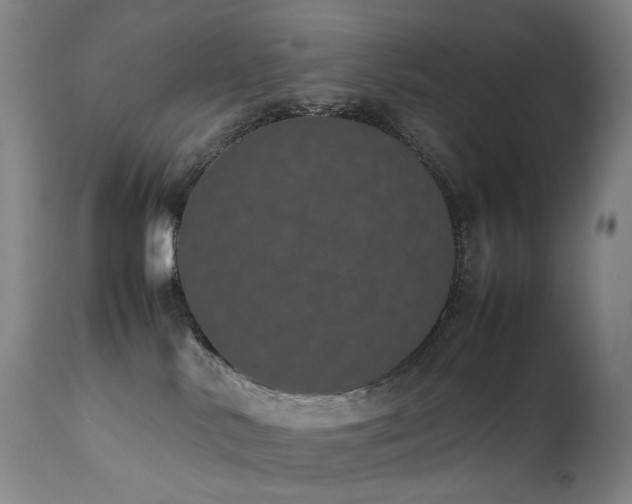 X0000111660042200907171621