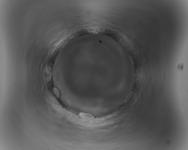 X0000111660043200907171621