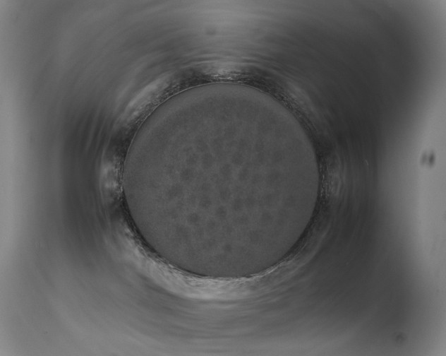 X0000111660044200907171621