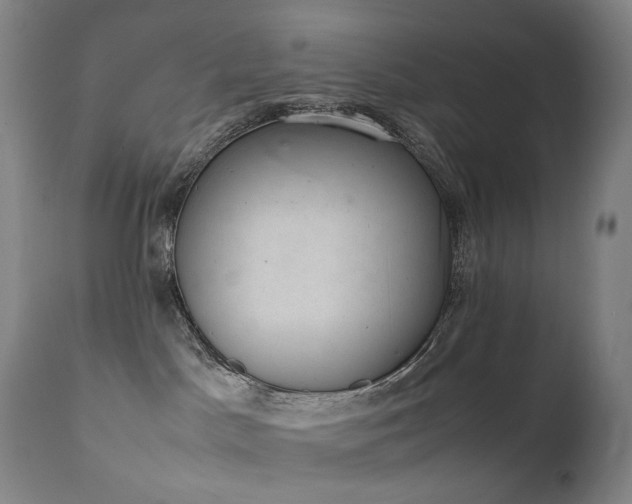 X0000111660045200907171621