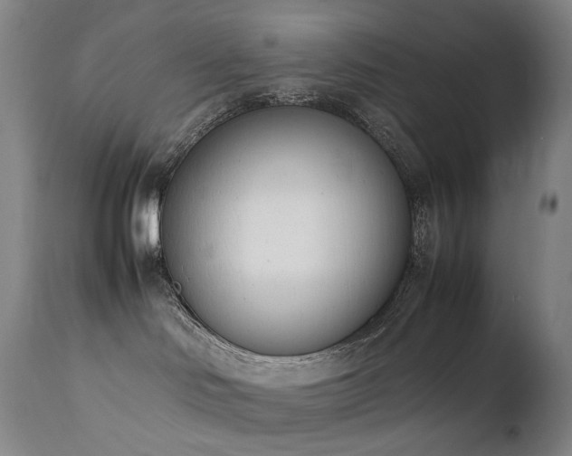 X0000111660046200907171621