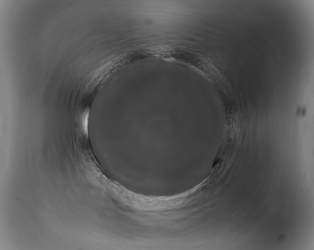 X0000111660047200907171621