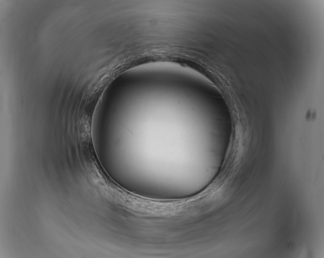 X0000111660048200907171621