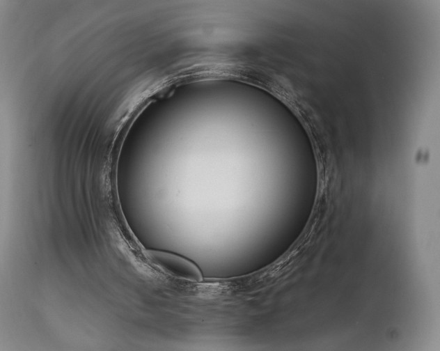 X0000111660050200907171620