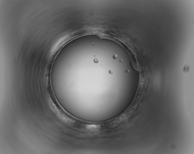 X0000111660053200907171620