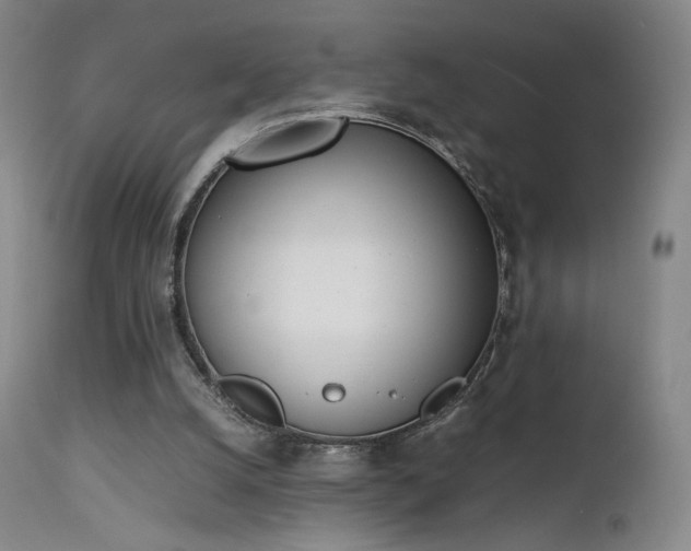 X0000111660056200907171621
