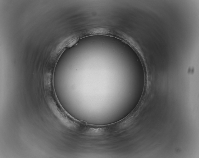 X0000111660057200907171621