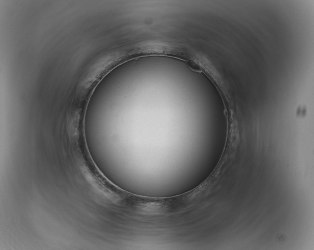 X0000111660058200907171621