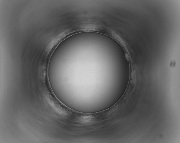 X0000111660059200907171621
