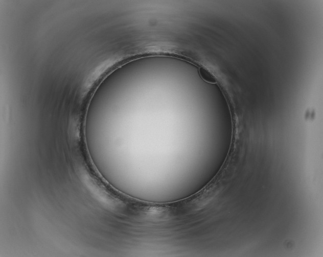 X0000111660060200907171621