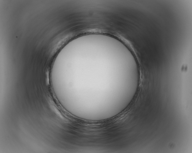 X0000111660061200907171621
