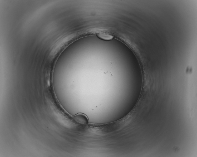 X0000111660062200907171621