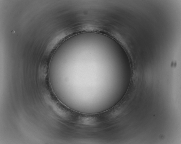 X0000111660063200907171621
