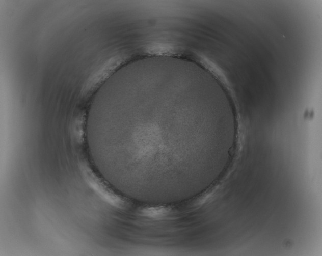 X0000111660065200907171621