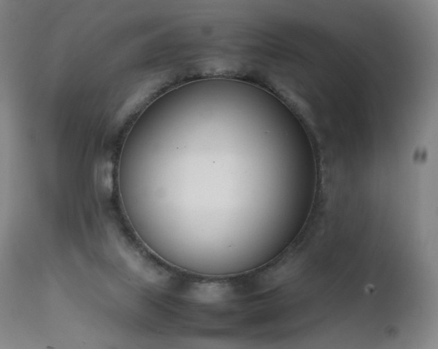 X0000111660067200907171621
