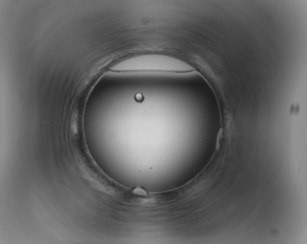 X0000111660068200907171621