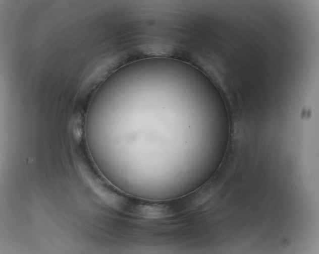 X0000111660069200907171621