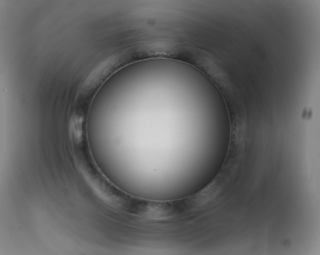 X0000111660070200907171621