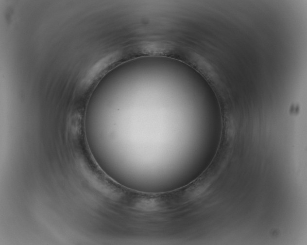 X0000111660071200907171621