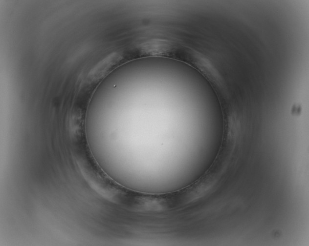 X0000111660073200907171621