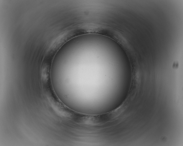X0000111660074200907171621