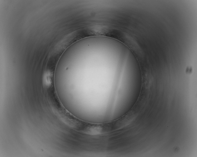 X0000111660075200907171621