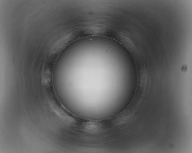 X0000111660077200907171621