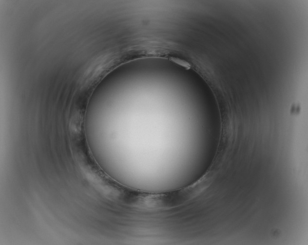 X0000111660078200907171621