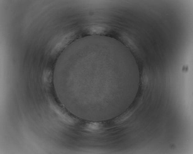 X0000111660079200907171621