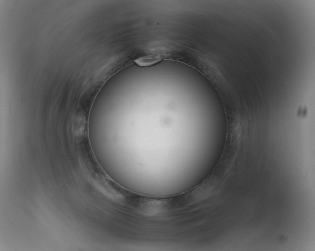 X0000111660081200907171621