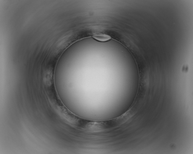 X0000111660082200907171621