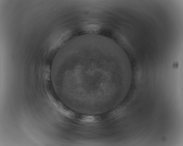 X0000111660083200907171621