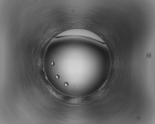 X0000111660084200907171621