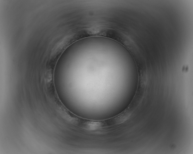 X0000111660085200907171621