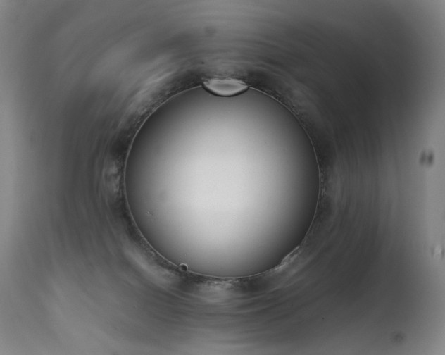 X0000111660086200907171621