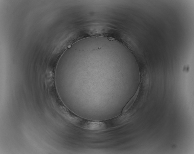 X0000111660087200907171621