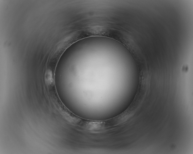 X0000111660089200907171621