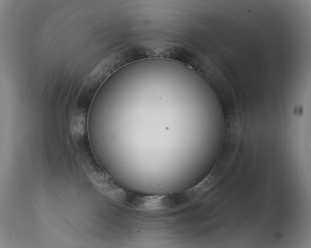 X0000111660090200907171621
