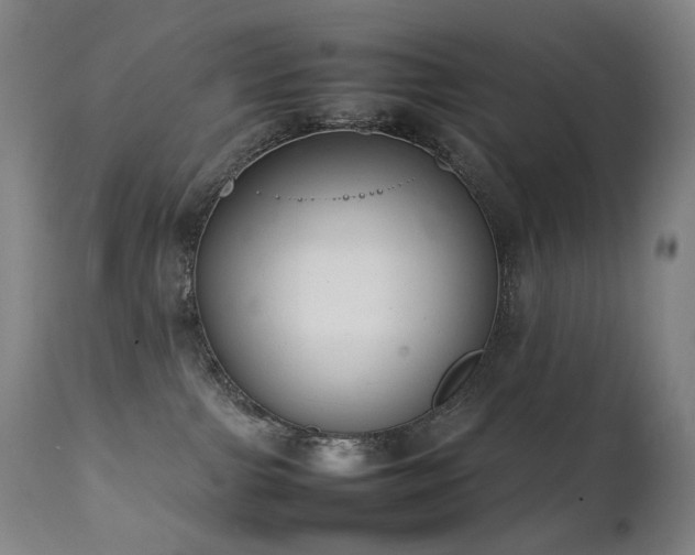 X0000111660091200907171621