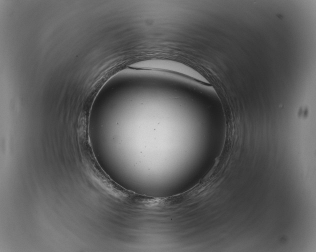 X0000111660092200907171621