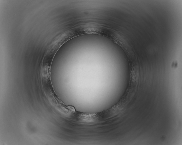 X0000111660093200907171621