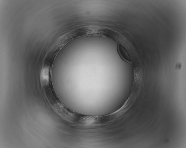 X0000111660094200907171621