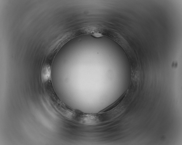 X0000111660095200907171621