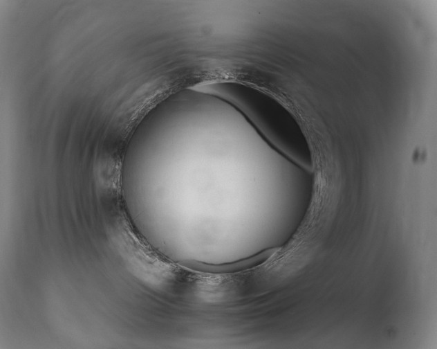 X0000111660096200907171621